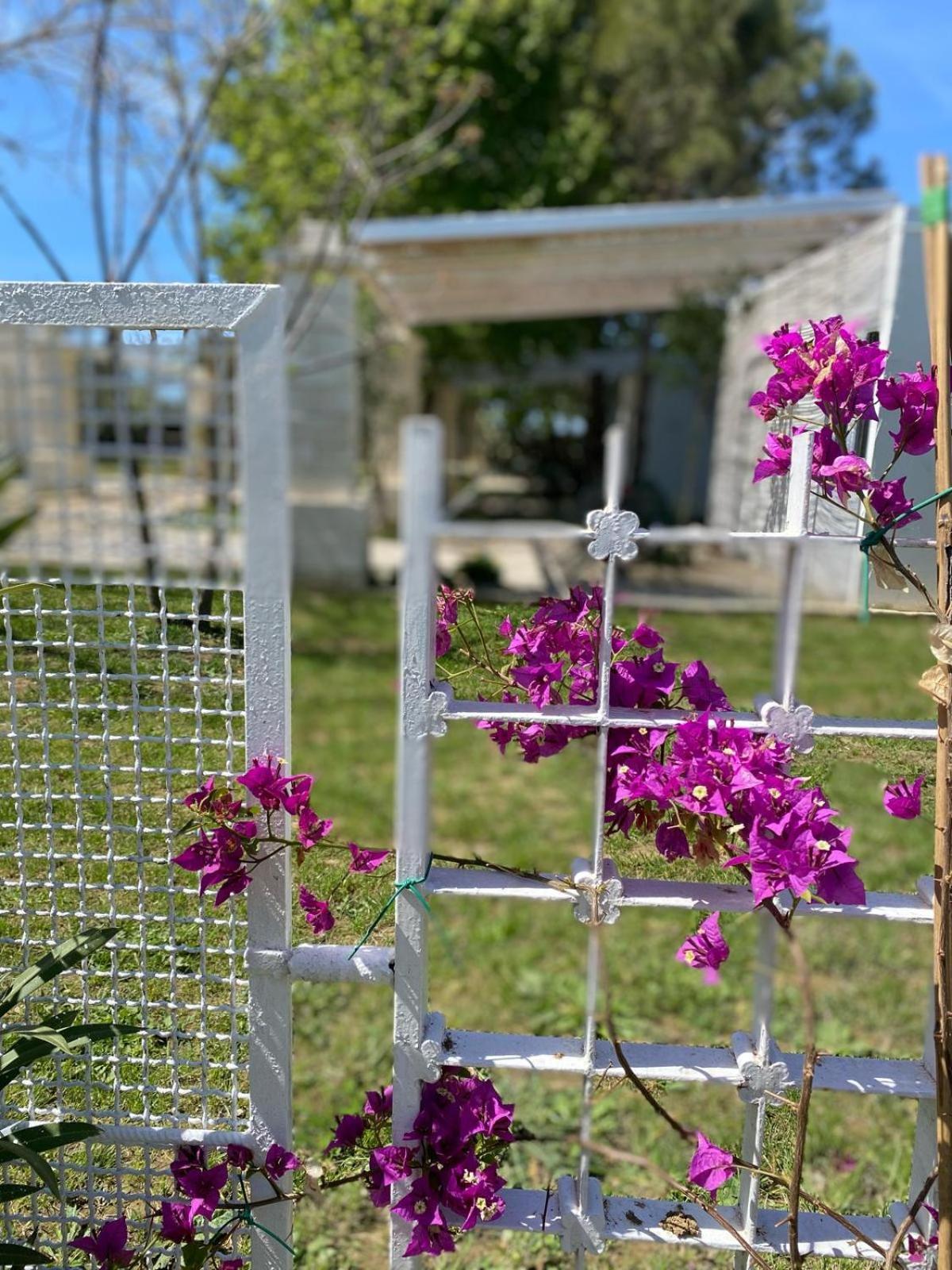 Agriturismo Tenuta La Monaca Aradeo Zewnętrze zdjęcie